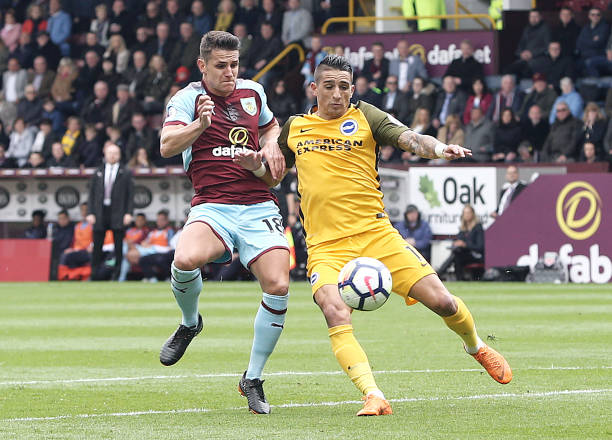 坛不可忽视 坛不可忽视