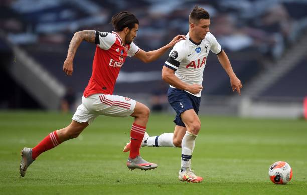 术多样性的 术多样性的